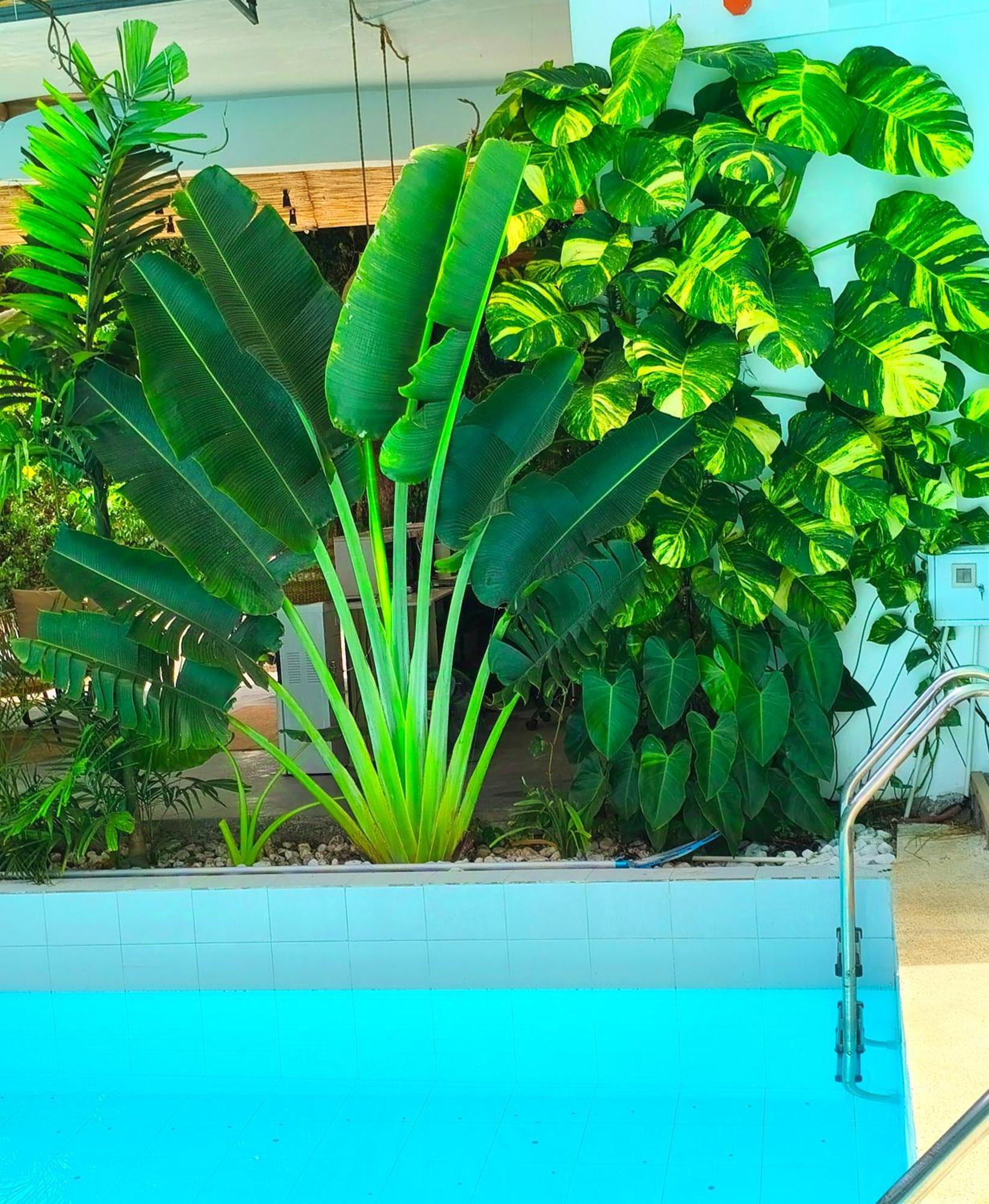 Diving Addiction Resort Panglao Εξωτερικό φωτογραφία